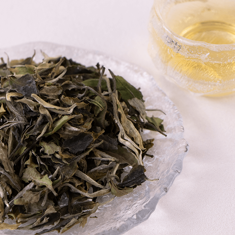 Shenlin Gutian White – Yunnan White Tea